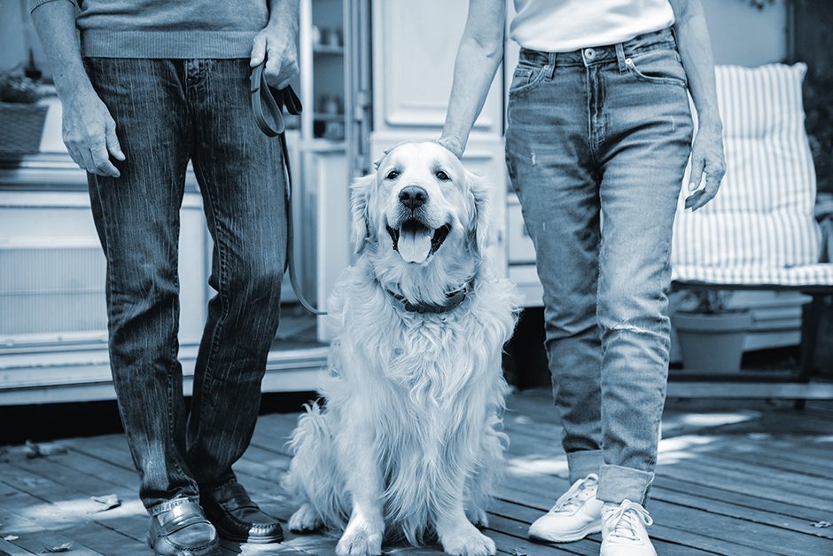 Cropped image of senior old couple family pet owners with their good boy dog labrador golden retriever near trailer camper van traveling caravanning by motor home together